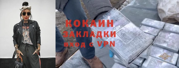 прущие грибы Арсеньев