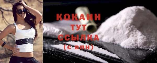 прущие грибы Арсеньев