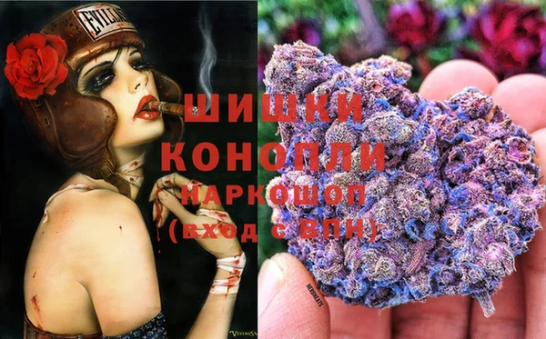 прущие грибы Арсеньев