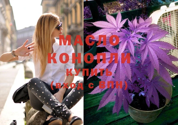 индика Армянск
