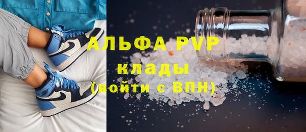 прущие грибы Арсеньев