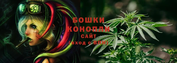 индика Армянск