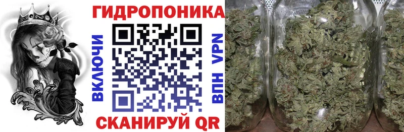 что такое   Балей  mega ссылки  Марихуана OG Kush 